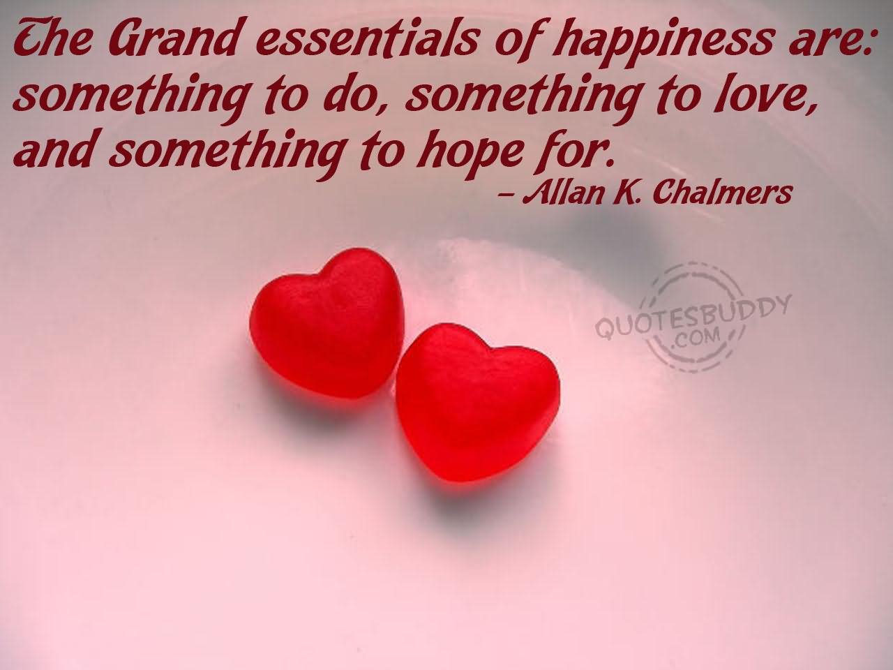 The grand essentials of happiness are something to do, something to love, and something to hope for.