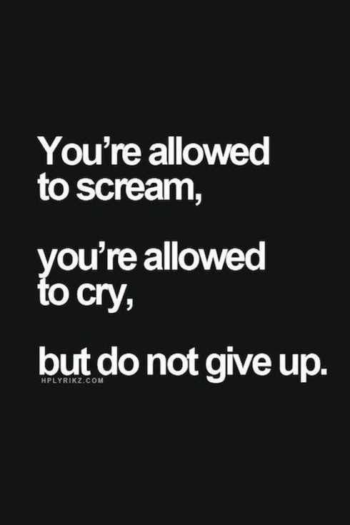 you are allowed to scream,you are  allowed to cry, but do not give up.