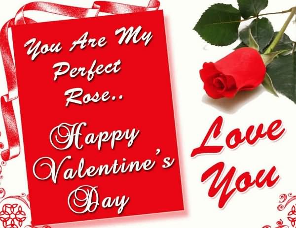 You are my perfect rose Happy valentines day.Love you.
