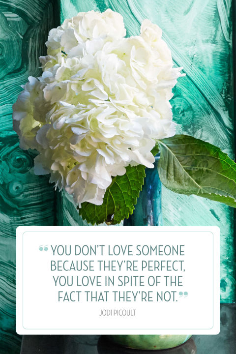 You don't love someone because they're perfect,you love in spite of the fact that they are not. -Jodi Picoult