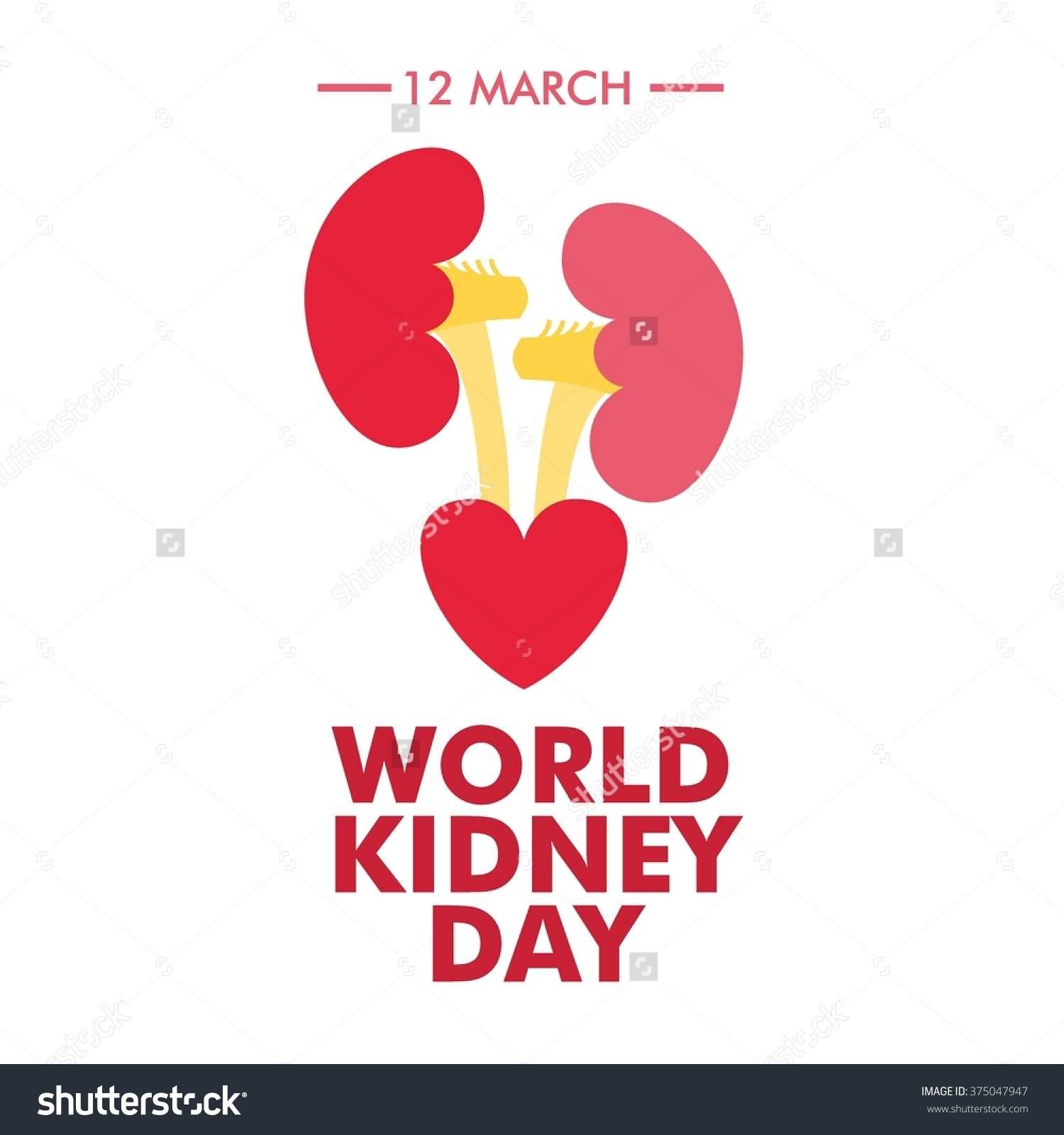 12 March World Kidney Day Illustration