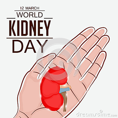 12 March World Kidney Day Kidney On Hand