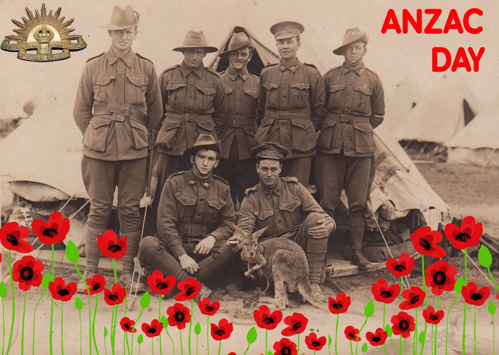 Anzac Day Army Men Posing For Photograph Poppy Flowers