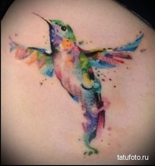 Aqua Flying Bird Tattoo Design For Upper Back