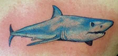 Aqua Shark Tattoo Design
