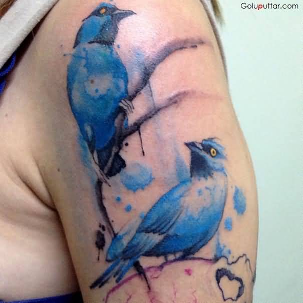 Aqua Two Birds On Branch Tattoo On Left Shoulder