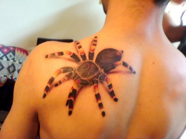 Attractive 3D Arachnids Tattoo On Left Back Shoulder