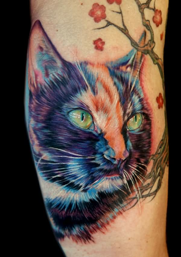 Attractive Colorful Cat Head Tattoo On Half Sleeve
