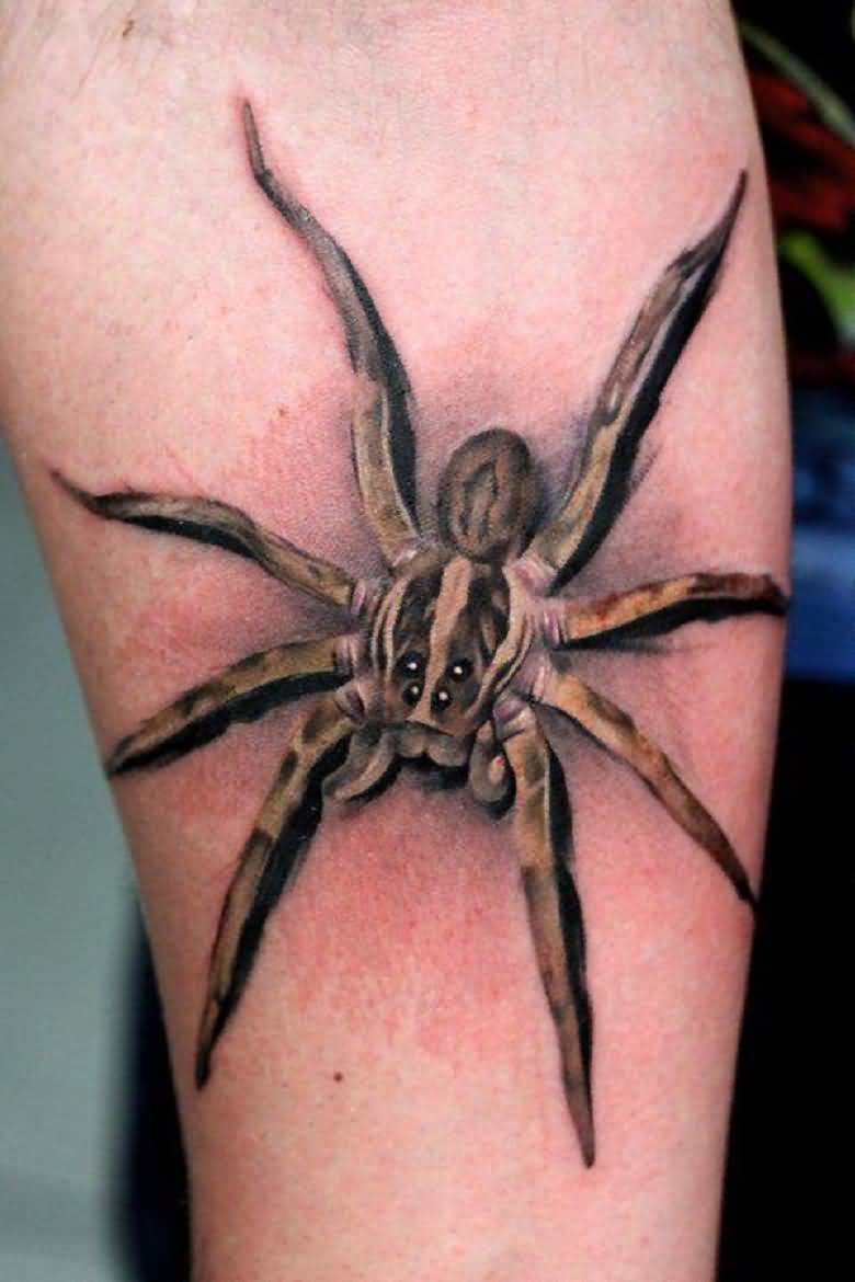 Awesome 3D Arachnids Tattoo On Right Forearm