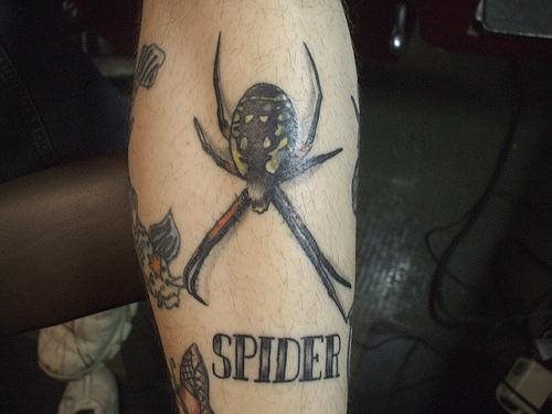 Awesome Arachnids Tattoo On Sleeve