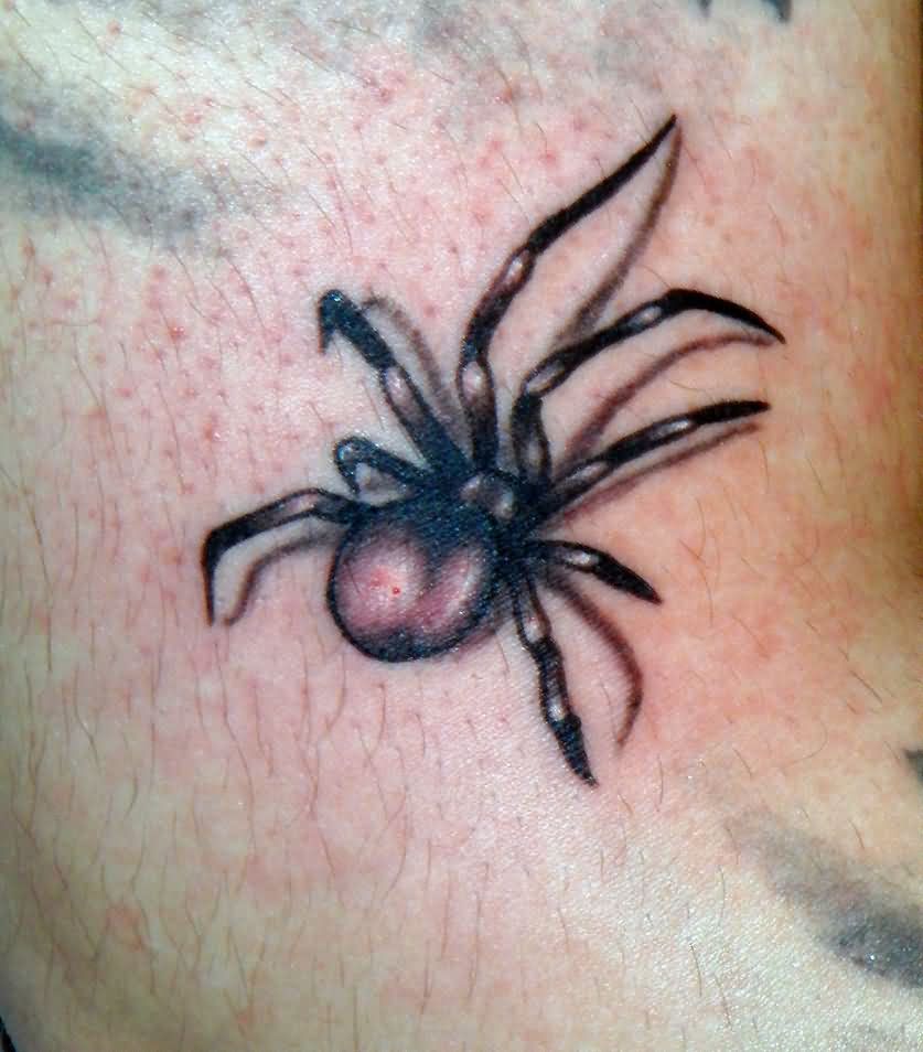Awesome Black Ink 3D Arachnids Tattoo Design