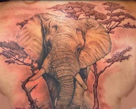 Awesome Elephant Tattoo On Man Upper Back