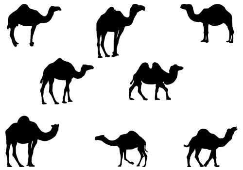 Awesome Silhouette Camel Tattoo Flash