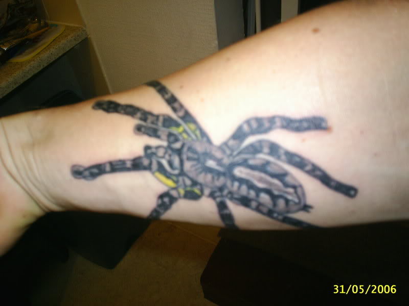 Black And Grey Arachnids Tattoo On Right Forearm