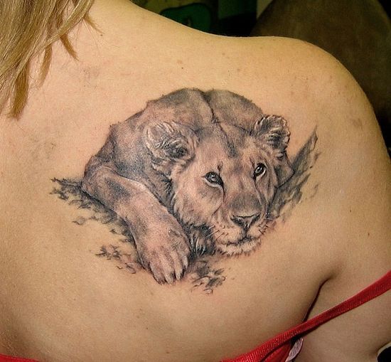 Black And Grey Lioness Tattoo On Women Right Back Shoulder