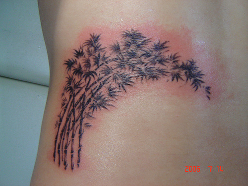 Black Bamboo Trees Tattoo On Left Back Shoulder