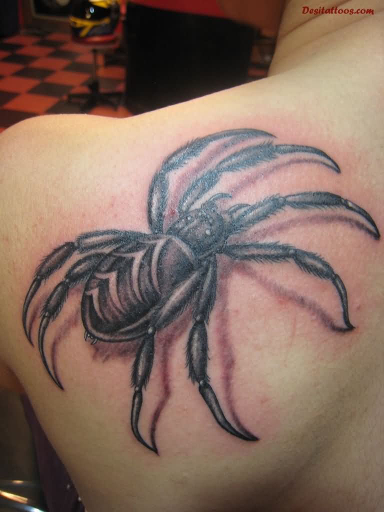 Black Ink Arachnids Tattoo On Left Back Shoulder