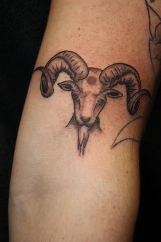 Black Ink Aries Head Tattoo Design For Forearm