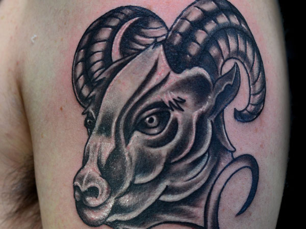 Black Ink Aries Head Tattoo On Left Shoulder
