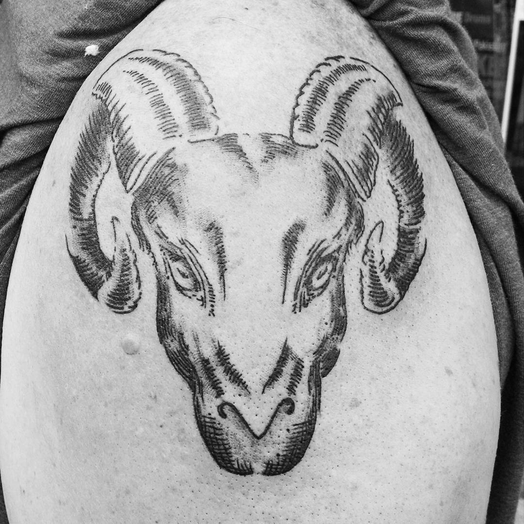 Black Ink Aries Head Tattoo On Right Shoulder