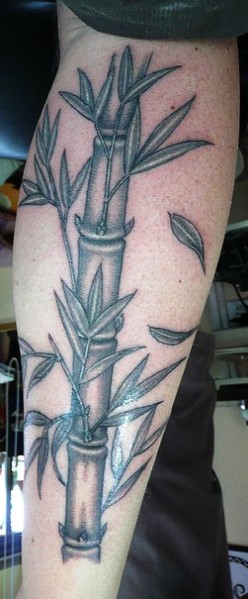 Black Ink Bamboo Tree Tattoo On Leg Calf