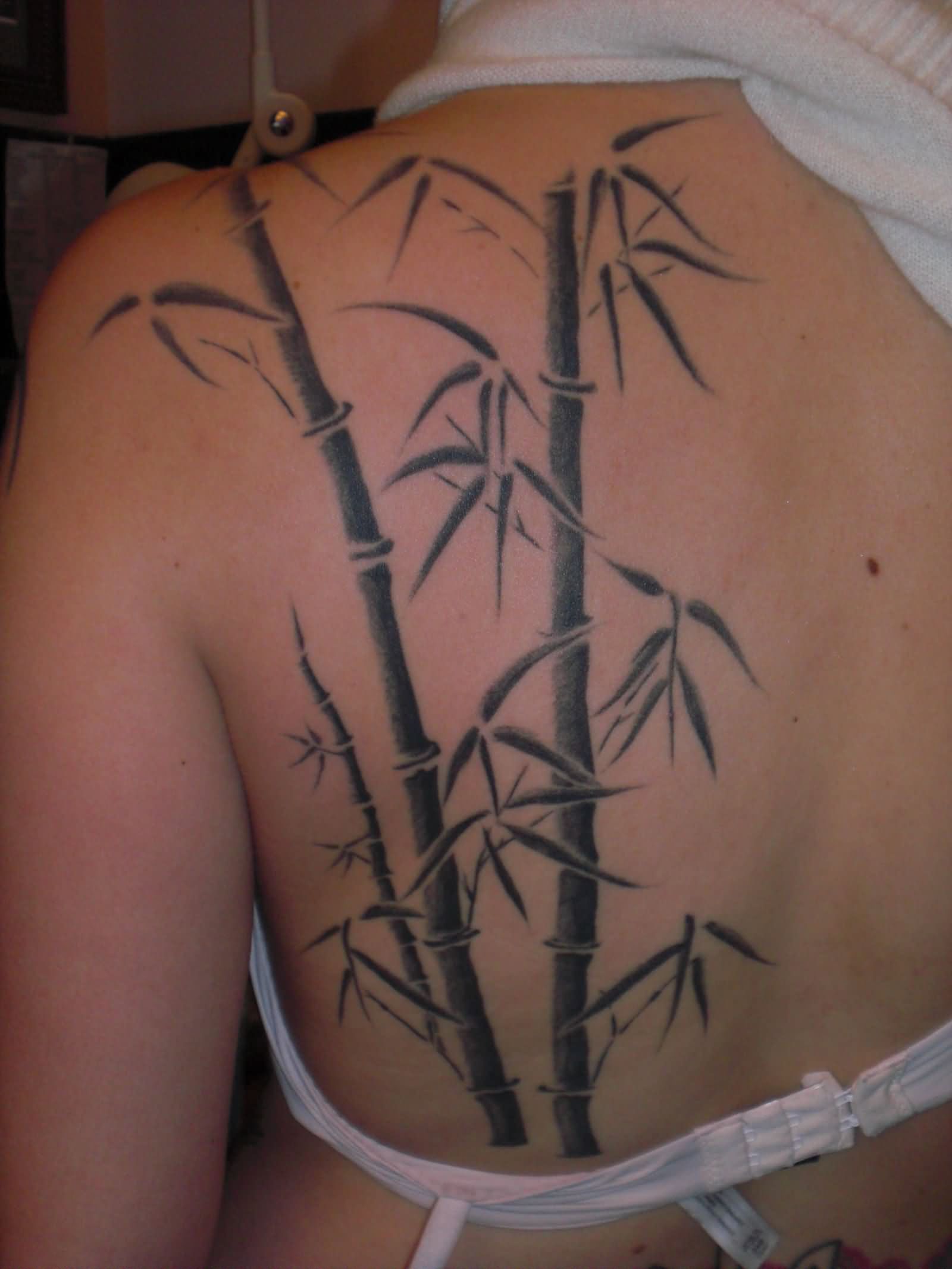 Black Ink Bamboo Tree Tattoo On Women Left Back Shoulder