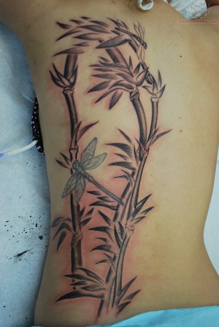 Black Ink Bamboo Tree With Dragonfly Tattoo On Full Back