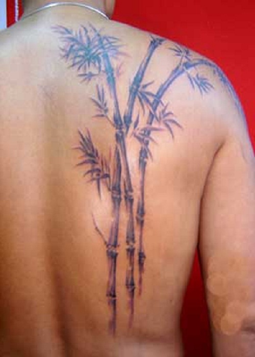Black Ink Bamboo Trees Tattoo On Man Right Back Shoulder