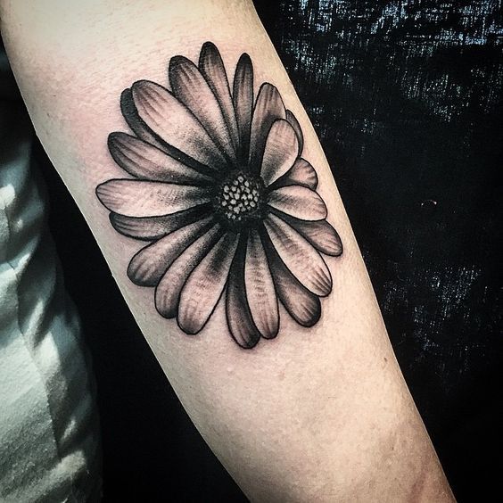 Black Ink Daisy Flower Tattoo On Sleeve