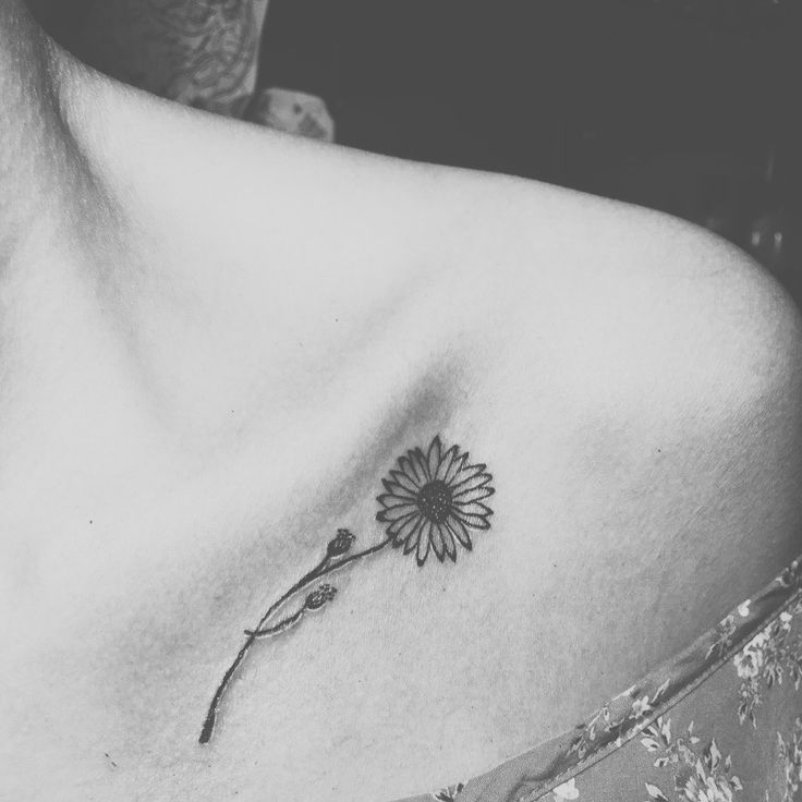 Black Ink Daisy Flower Tattoo On Women Left Front Shoulder