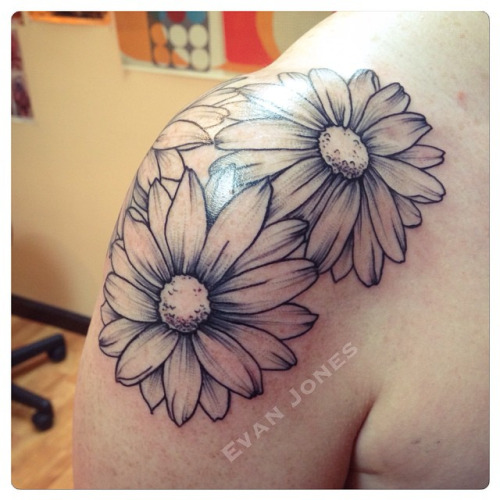 Black Ink Daisy Flowers Tattoo On Left Shoulder