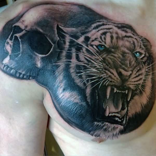 Black Ink Tiger Head With Skull Tattoo On Man Right Chest