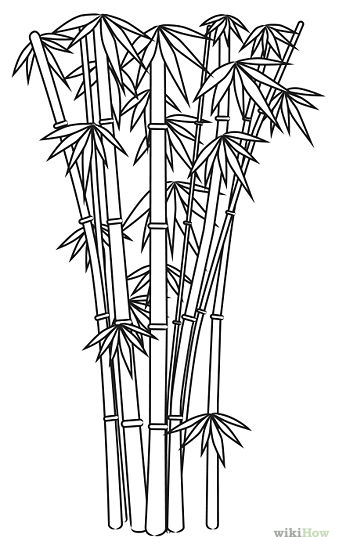 Black Outline Bamboo Trees Tattoo Stencil