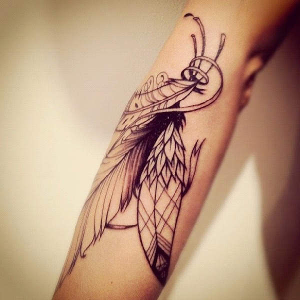Black Outline Feathers Tattoo On Right Arm