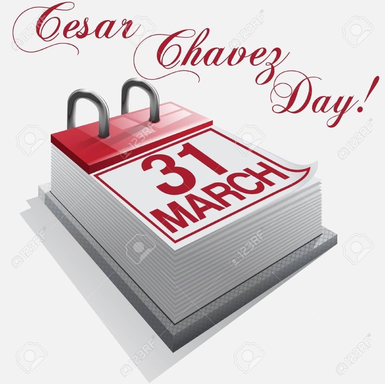 Cesar Chavez Day 31 March Calendar Illustration
