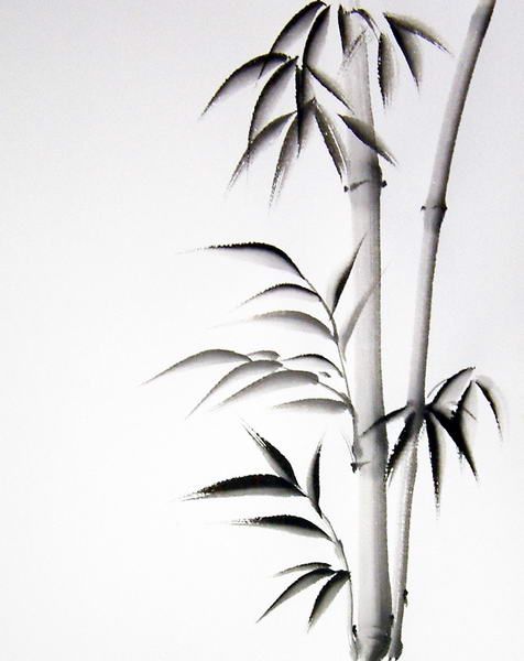 Classic Black And Grey Bamboo Tree Tattoo Design