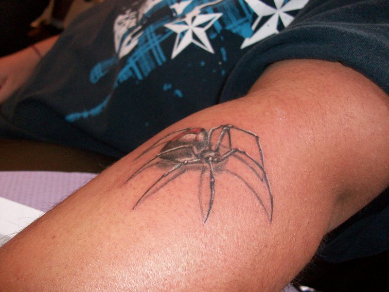 Classic Grey Ink Arachnids Tattoo On Left Arm