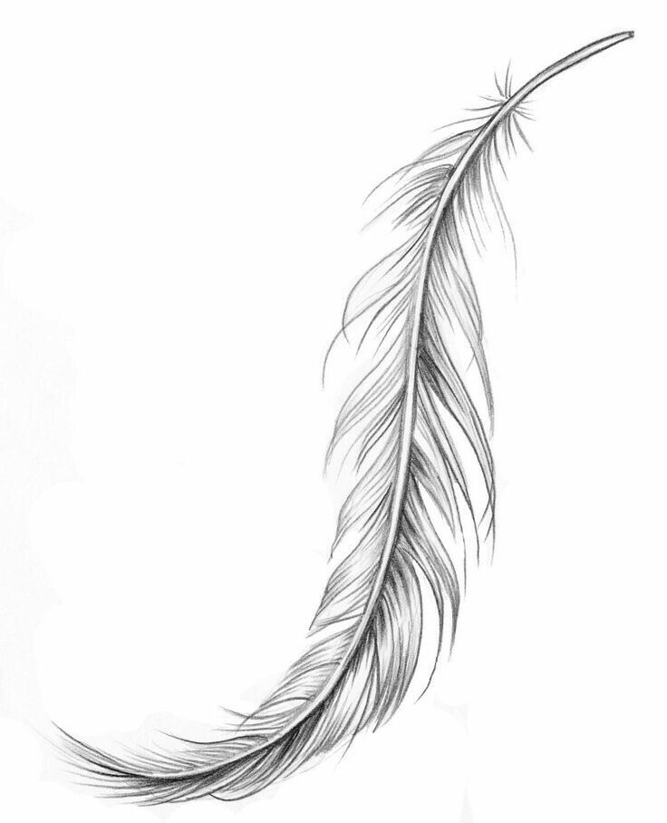 Classic Grey Ink Feather Tattoo Design
