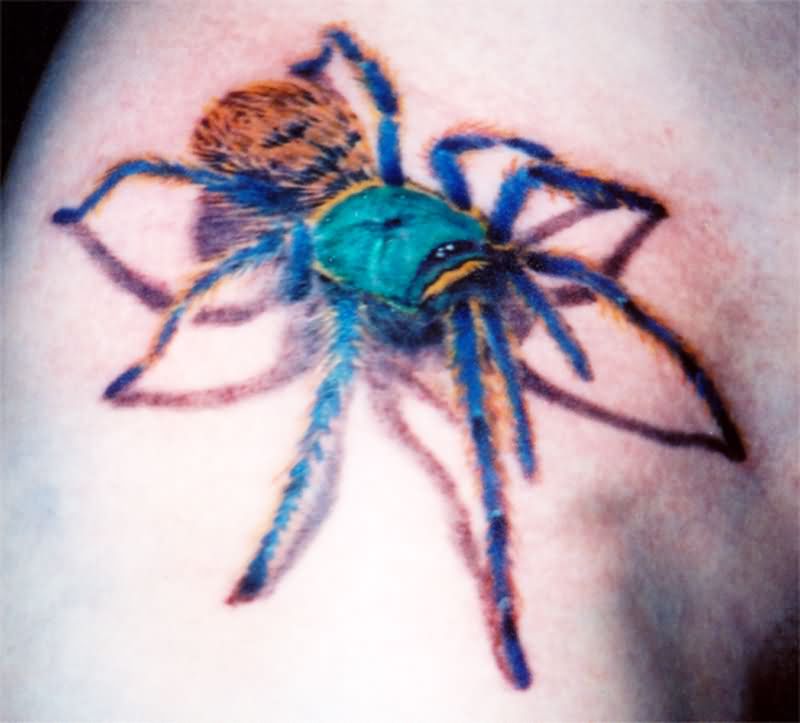 Colorful 3D Arachnids Tattoo Design