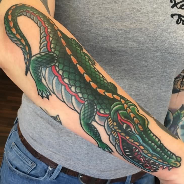 Colorful Traditional Alligator Tattoo On Right Arm.
