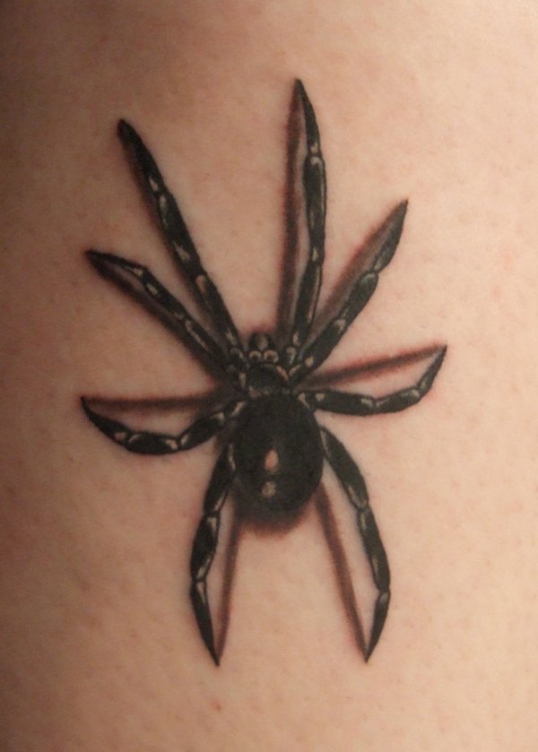 Cool Black Ink 3D Arachnids Tattoo Design