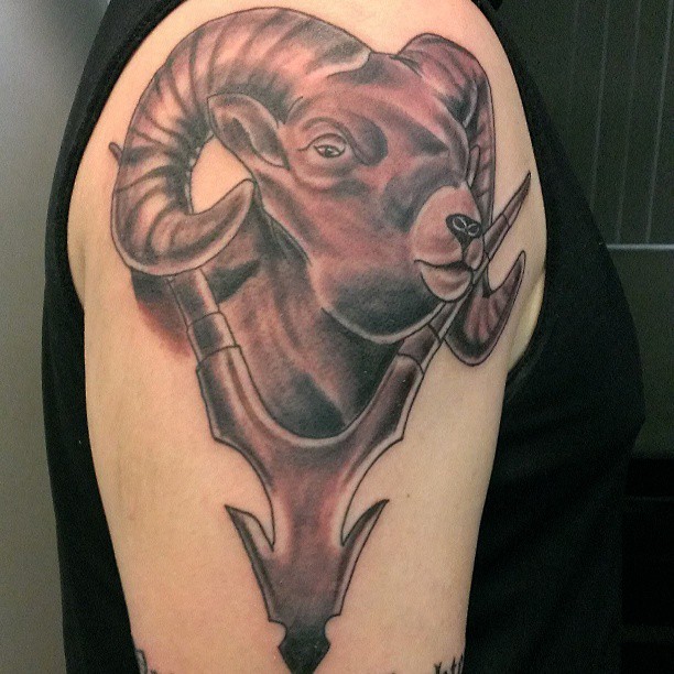 Cool Black Ink Aries Head Tattoo On Right Shoulder