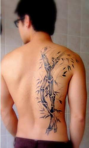 Cool Black Ink Bamboo Trees Tattoo On Man Full Back
