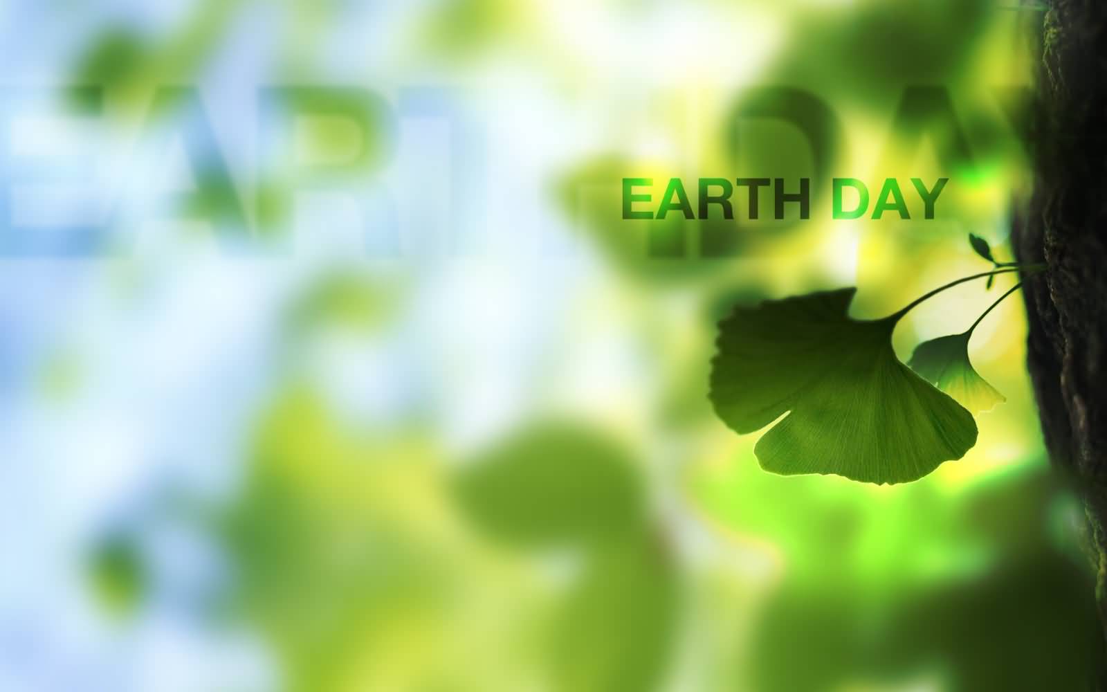 Earth Day Wishes Wallpaper