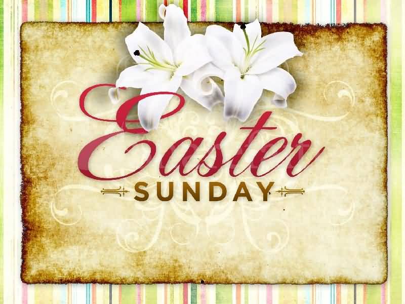 Easter Sunday Beautiful Greeting Card