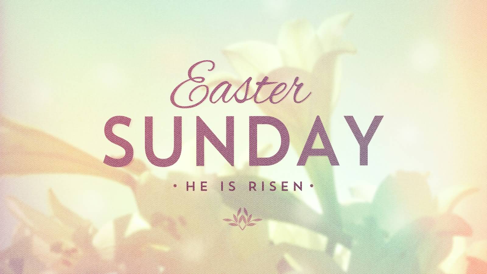 Easter Sunday He Is Risen
