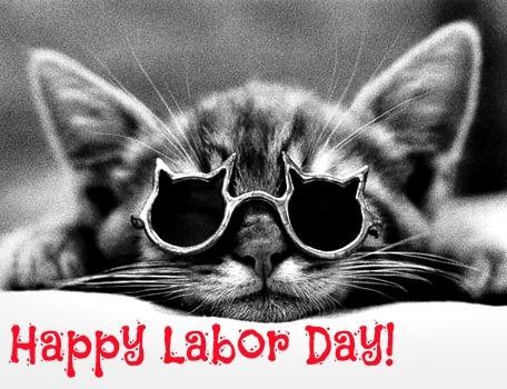 Happy Labor Day Kitten Picture