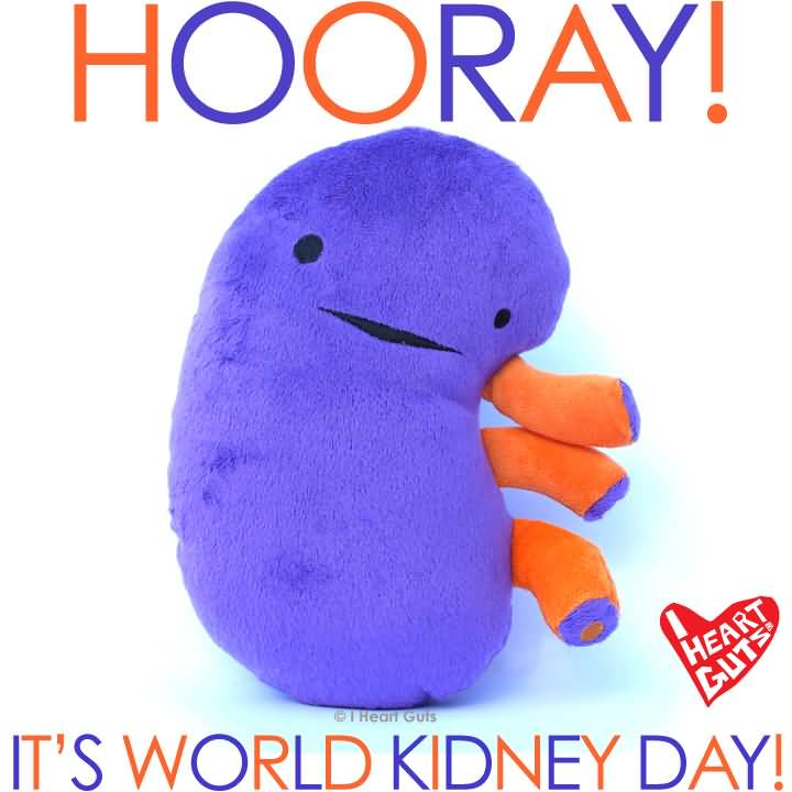 Hooray It’s World Kidney Day Card