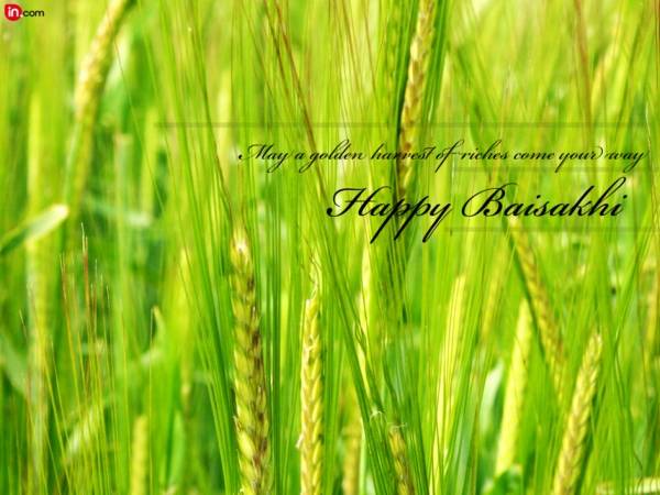 May A Golden Harvest Of Riches Come Your Way Happy Baisakhi