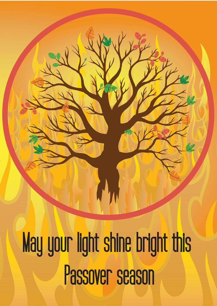 May Your Light Shine Bright This Passover Season Greeting Card